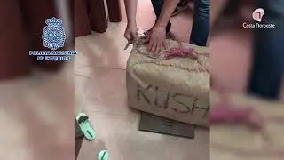 Noticias, Detenidos miembros de una organizaci&oacute;n especializada en introducir hach&iacute;s con narcolanchas
