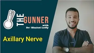 Axillary Nerve