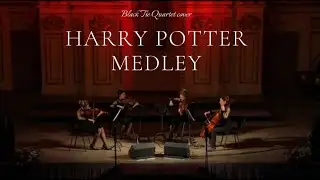 Harry Potter Medley - Instrumental | String Quartet 