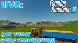 Farming Simulator 22 | LIVESTREAM: Hay Today Gone Tomorrow!!! |(Oberthal Farm)