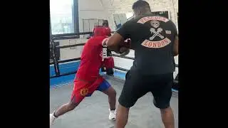 DEAN WHYTE KNOCKS OUT MICHAEL!!! 😃😃