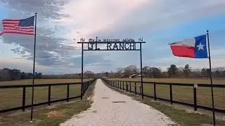 Putting Out Hay LIVE!