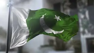 Pakistan Flag Waving Slow Motion @travelpakistanvlogs #pakistan #viral #youtubeshorts #flag #like