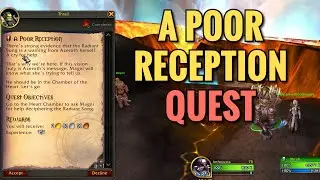 A Poor Reception Quest (WoW TWW)