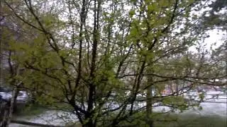 2018-05-20 Snow in May. Bratsk, Siberia, Russia Снег в мае Братск Сибирь Россия
