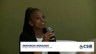 Panel discussion: Addressing innovation gaps in the mining sector