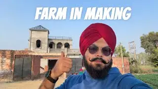 My Farm progress 👨‍🌾🌾🏡|| back to basics || @Nawabvlogs13 