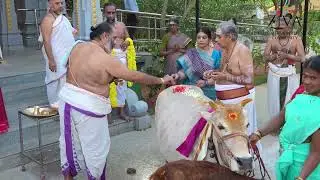 Siva Vishnu Temple 6th Anniversary | Divine Celebrations at Ziva