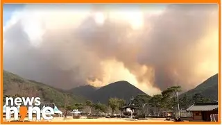 South Korea Facing More Large-Scale Wildfires Due To Climate Change, Expert Says | News9