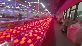 Media Facade lighting #mediafacade #ledlightingdesign #ledfactorydaily #fyp