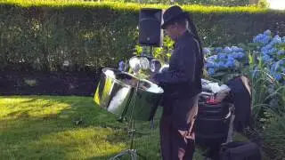 LI  WEDDING CEREMONY MUSIC STEEL DRUM PLAYER LONG ISLAND 