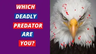 What Animal Are You? Which Deadly Predator Are You? (Personality Test) Which Animal Are You?