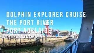 [4K] Dolphin Explorer Cruise  | The Port River | Port Adelaide | 26 April 2021