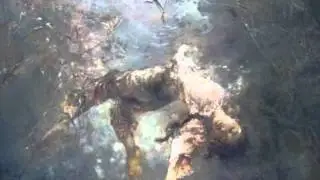 Salamat Sad&iuml;kova: Makhabat &iuml;r&iuml;
