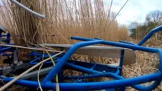 Miscantus video