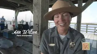 South Carolina State Parks - So Many Things to Do