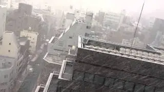 First snow in Tokyo 2013