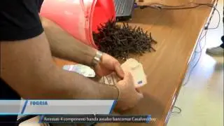 Foggia Arrestati 4 componendi banda assalto bancomat Casalvecchio TG Teleregione 19 06 2017