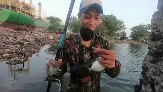 Mancing Runcah Pake Mainan Anak || Fun Fishing Mini Softlure part 6