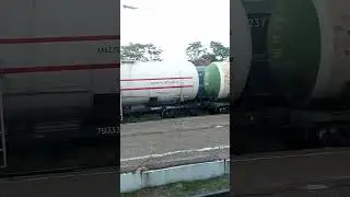 Железнодорожные грузовые вагоны из окна пассажирского поезда #interesting #train #travel #railway