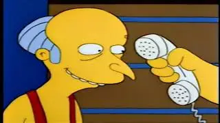 The Simpsons ; What Happens When MR BURNS Sells Nuclear Power Plants?