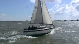 Nore Race 2011: Start