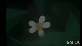 &ldquo;प्रेम जुनं होत नाही&hellip;फक्त आठवण नव्याने येते ❤️&rdquo;Romantic Song | Timeless Love ❤️