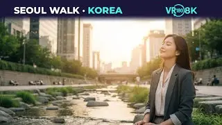 Peaceful 8K 180&deg; VR Walk in Korea &mdash; Seoul&rsquo;s Cheonggyecheon Stream