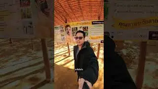ภูโคลน แม่ฮ่องสอน #แม่ฮ่องสอน #ปางอุ๋ง #เที่ยว  #travel #เที่ยวเหนือ #เที่ยวไทย