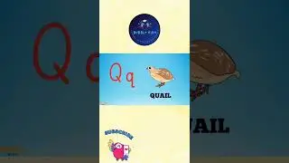 Letter Qq words for kids | objects starts with Q  | Q  picture words #shorts  #shortsvideoviral