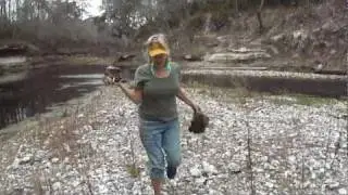 coraling on the suwannee
