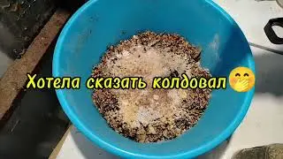 28.12.25г. ИЗОЛИРОВАННЫЕ🐔🐔 ВЕРНУЛИСЬ В СТАЮ. СКОЛЬКО СНЕСЛИ ЯИЦ? 🧐