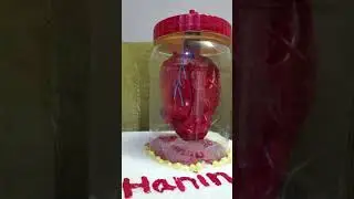 3D pumping heart model