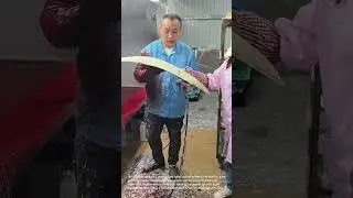 Professional Spray Painting: Expert Technique