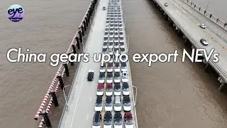 China's new energy vehicle export speeds up