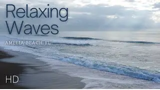 Tranquil Beach Ambience and Soothing Sounds of Florida Waves -Amelia Beach, FL