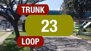 SBS Transit Trunk 23 | Bus Service Route Visual