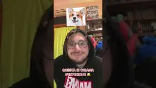 E TU CHE CANE SEI?