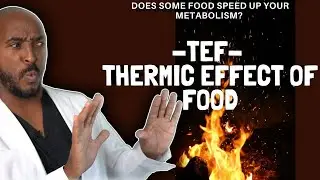 Does some food speed up your metabolism? TEF (thermic effect of food)