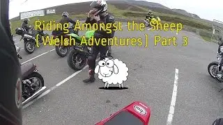 Riding Amongst The Sheep (Welsh Adventures) Part 3 | MotoVlog