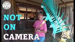 Barn Banter, Horse DNA & Happy Hour at the Stables 🍻🐎 | Ranchette Dreams
