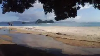 Hahei beach