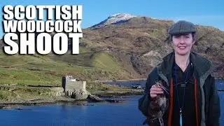 Scottish Woodcock Shoot