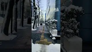 零下 5 度在札幌散步 ASMR #travelvlog #POV #walking #asmr