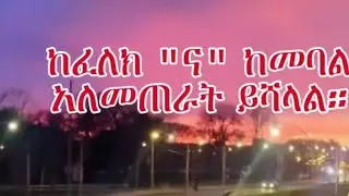 አለም ቲዩብ-Alem Tube is live!