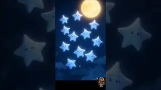 🌟 