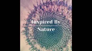 Nanotechnology Solutions Inspired By Nature