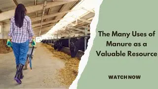 The Many Uses of Manure as a Valuable Resource