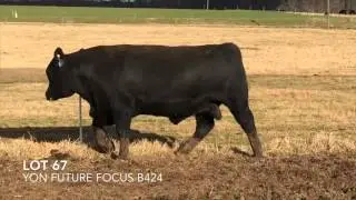 Lot 67  Yon Future Focus B424