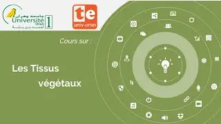 Cours Les Tissus Végétaux Pr Ighilhariz zohra